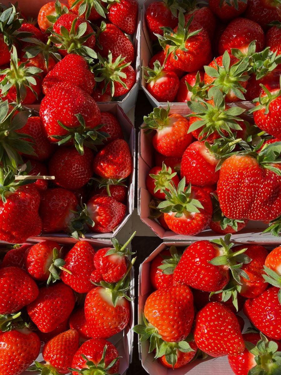 Strawberries - Homegrown Collection