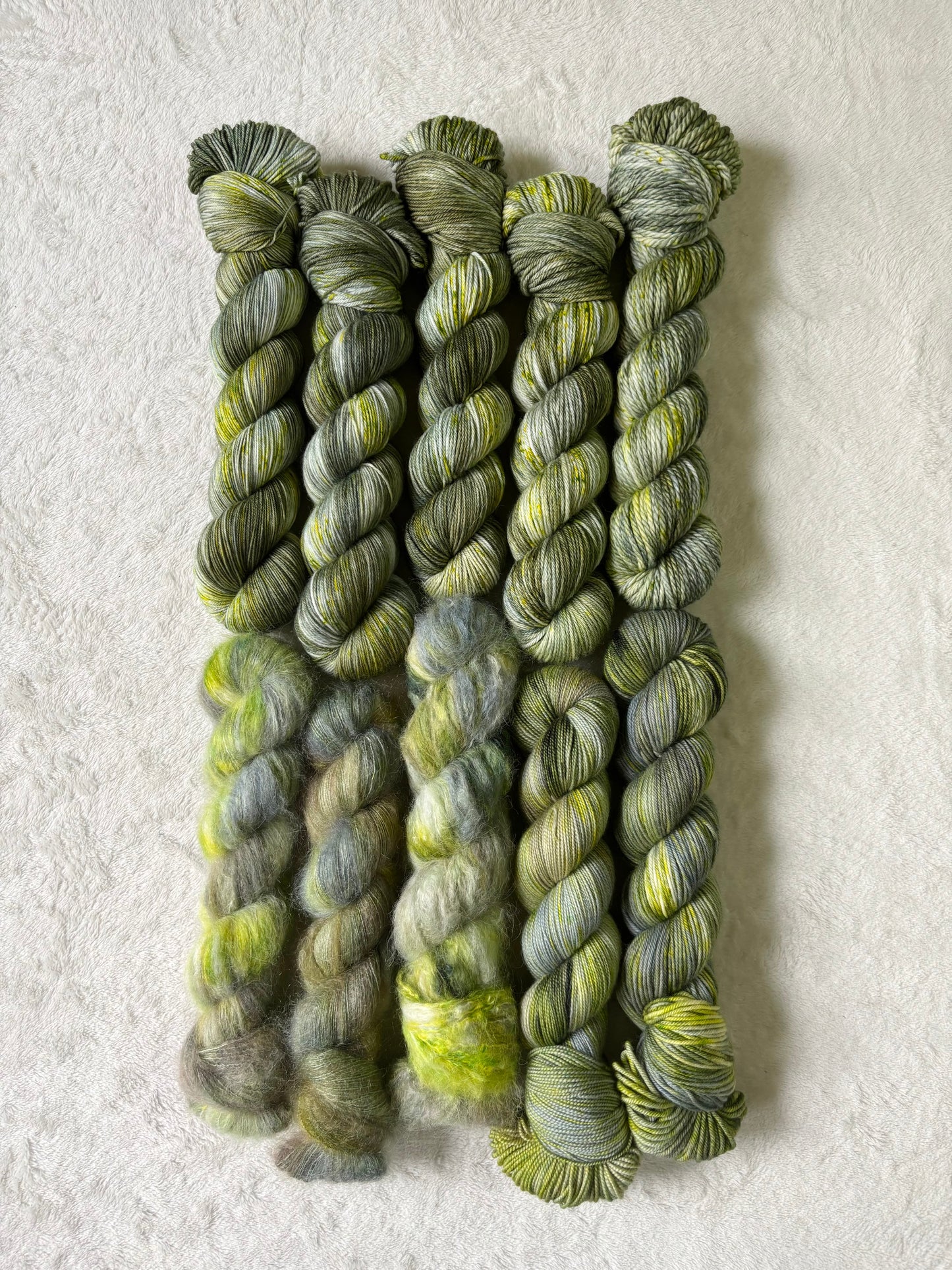 Majesty Palm - Homegrown Collection