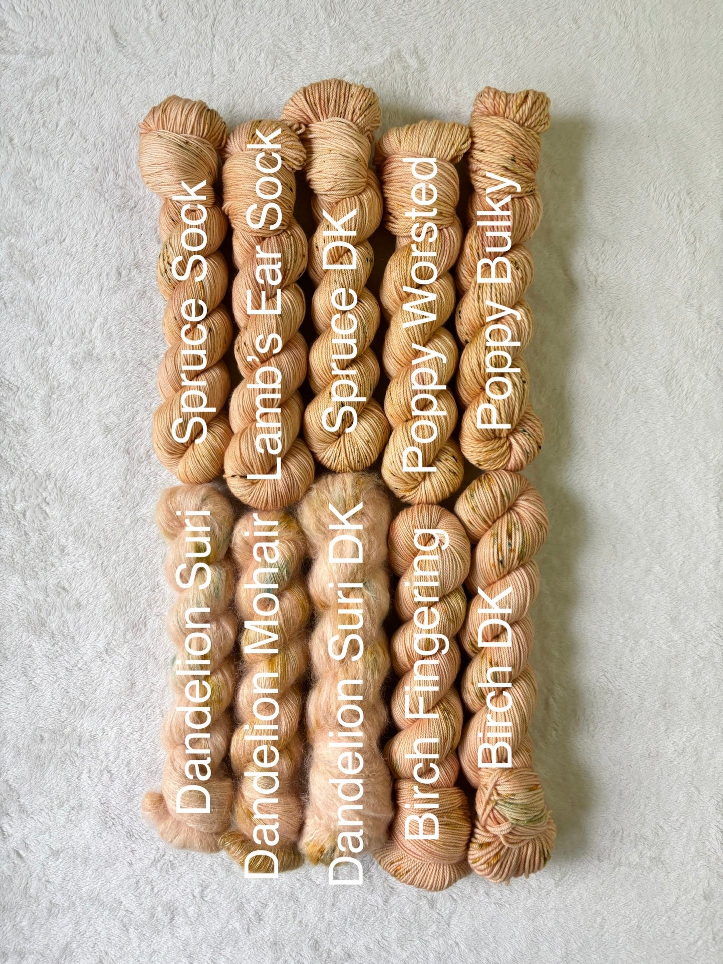 Butternut Squash - Homegrown Collection