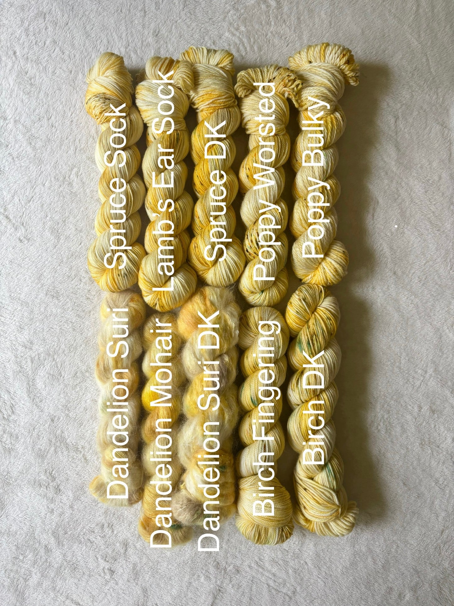 Summer Squash - Homegrown Collection