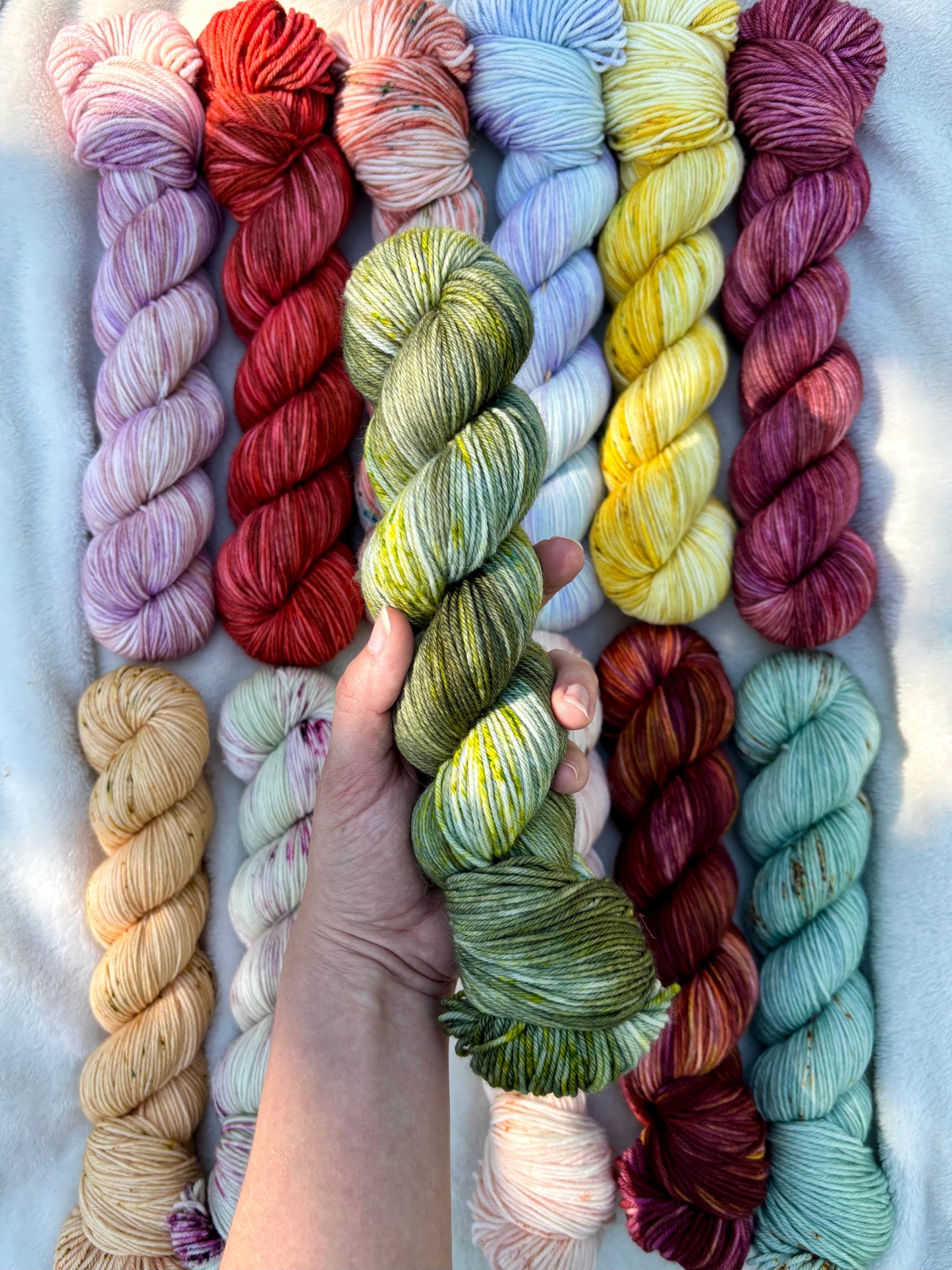 Majesty Palm - Homegrown Collection