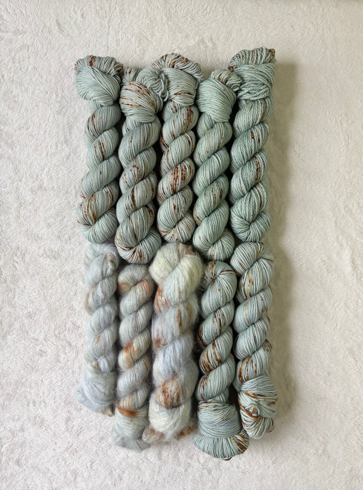 Colorado Blue Spruce - Homegrown Collection
