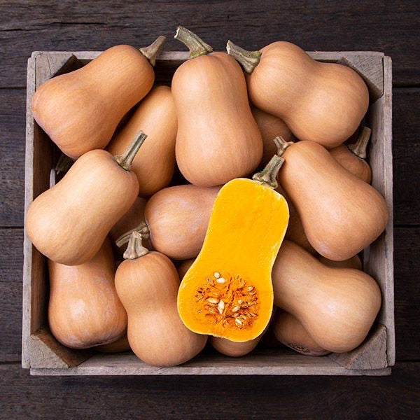 Butternut Squash - Homegrown Collection