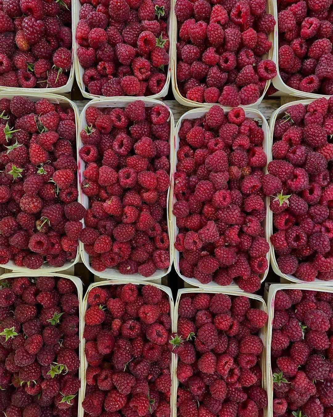 Raspberries - Homegrown Collection