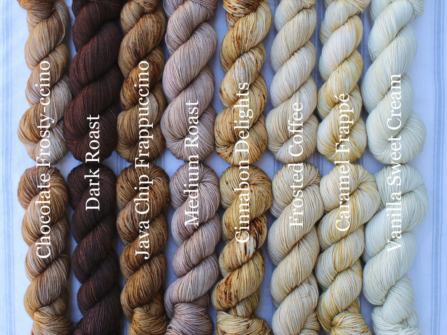 Java Chip Frappuccino - Fast Food Coffee Collection