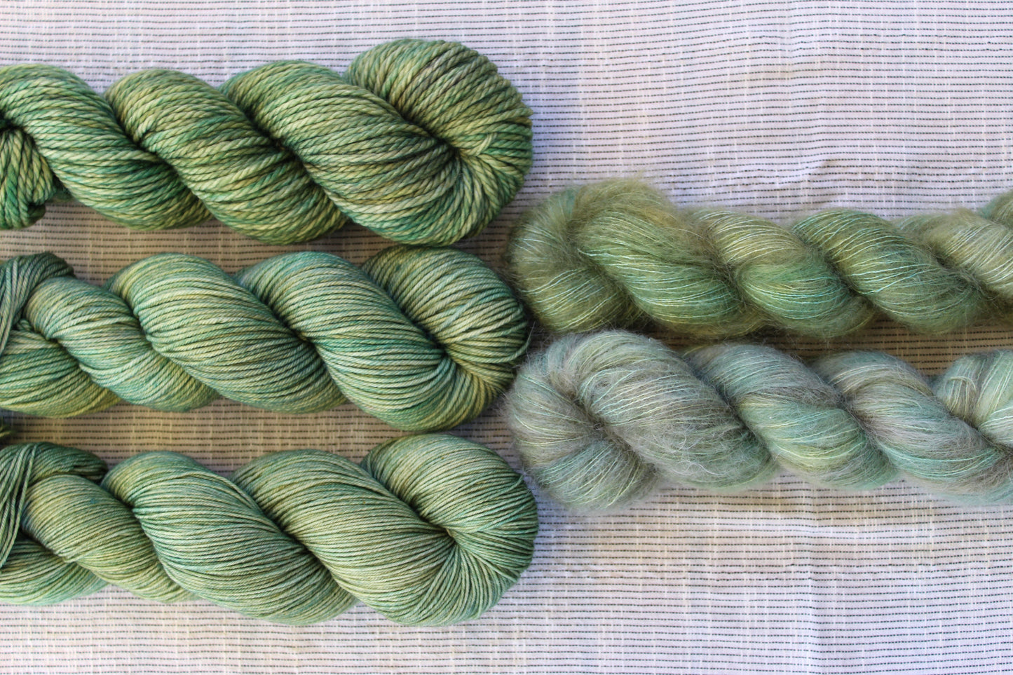 Plant Parent - Homebody Collection